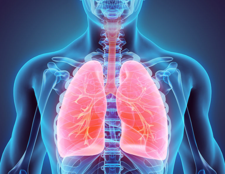 Se hva som skjer med lungene når du puster inn helsefarlig betongstøv